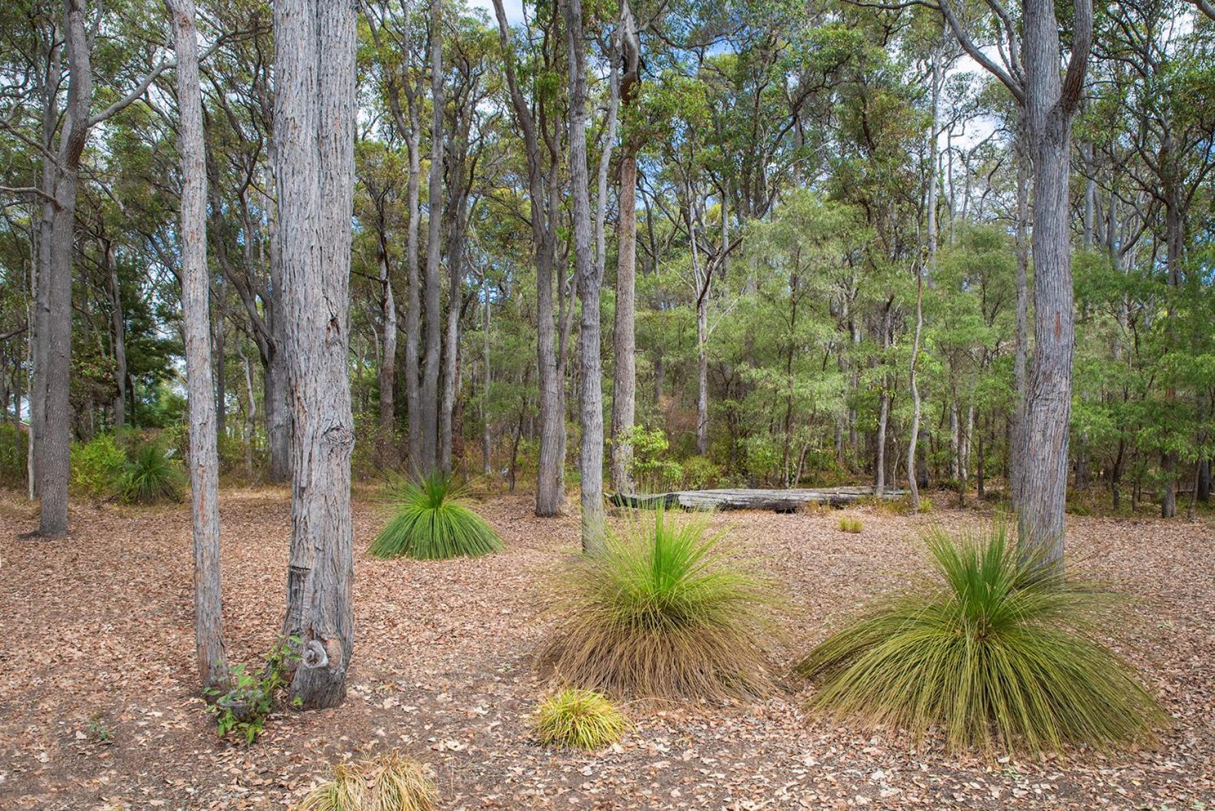 Cape Illawarra Holiday House Margaret River Βίλα Εξωτερικό φωτογραφία