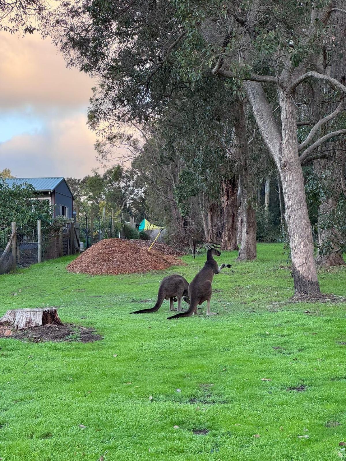 Cape Illawarra Holiday House Margaret River Βίλα Εξωτερικό φωτογραφία